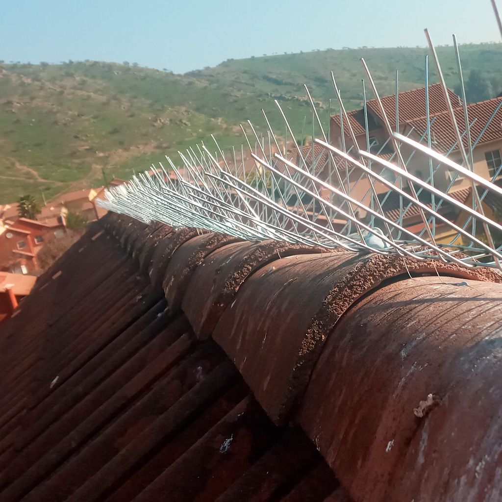 servicio-bloqueo-3-1024x1024