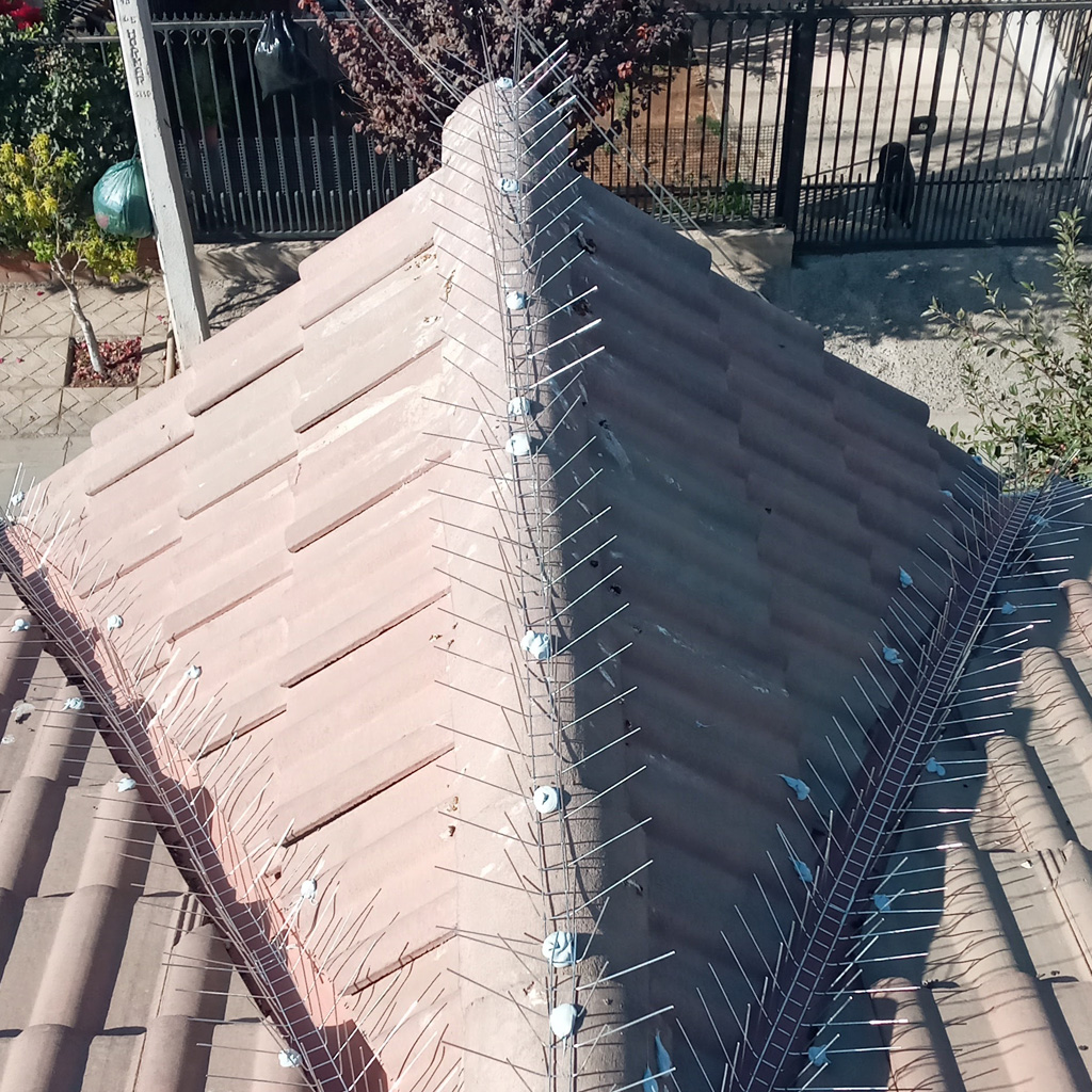 servicio-bloqueo-5-1024x1024